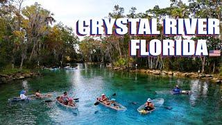 Crystal River Florida: Three Sisters Springs Tour And Travel Info