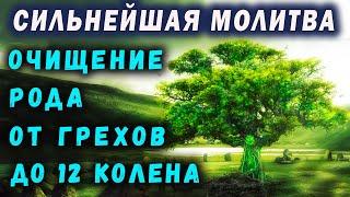 САМАЯ СИЛЬНАЯ МОЛИТВА / МОЛИТВА НА ОЧИЩЕНИЕ РОДА ОТ ГРЕХОВ ДО 12 КОЛЕНА / ПОКАЯНИЕ ЗА ВЕСЬ РОД