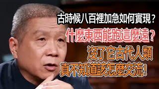 古時候八百裡加急如何實現？什麼東西能跑這麼遠？沒了它，古代人類真不知道該怎麼交流！ #圓桌派#窦文涛#观复嘟嘟#马未都