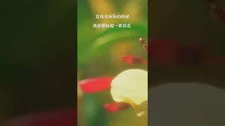 現代詩：《感謝》×汪國真 我原想親吻一朵雪花，你卻給了我銀色的世界！#poet #poetry #short #chinese #reading #詩歌 #汪國真 #感謝