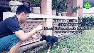 CLASSICAL CONDITIONING - IVAN PAVLOV (TUTORIAL VIDEO)