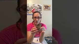 Welcome to Minerals, Rocks, and Fossil Talks!