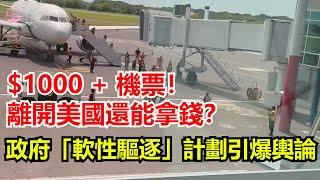 政府新政：自願遣返給1000美元，支持還是反對Echo看美國&Echo's happy life&Echo的幸福生活&美國新聞&美國日常生活指南&美國政治&川普新政