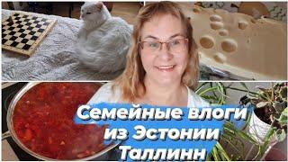 Эстония.Таллинн.Будни простой семьи.Расхламление комода.Пробуем сыр из Италии.Варим борщ.Влог