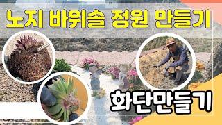 노지 바위솔 화단 만들기 바위솔정원 이렇게 꾸미세요 정원인테리어 끝판왕!!!