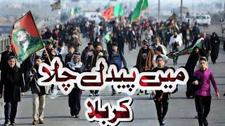 Main Paidal Chala Karbala || Farhan Ali waris noha || Azadari Jafria parachinar || Muharram