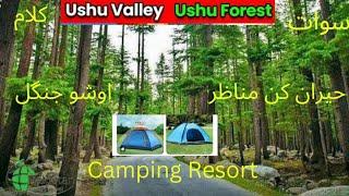 The Most Amazing place in Ushu Forest Kalam Valley,Swat//Camping Resort//Travel Guide