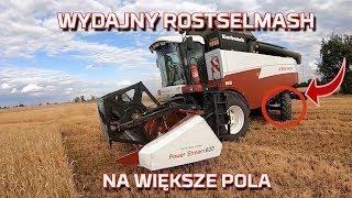 Wydajny kombajn Rostselmash Acros 595+ podczas żniw 2019 [opinia rolnika] [Korbanek]