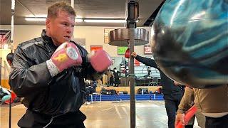 CANELO TRAINING FOR WILLIAM SCULL SMASHING THE HEAVY BAG WITH EDDY REYNOSO & JAIME MUNGUIA