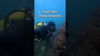 Как настраивать нейтральную плавучесть дайверу  #aksenovscubadiving #дайвинг