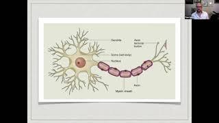 Fundamentals of Orthopaedics - Session 12 - Peripheral Nerve Injury