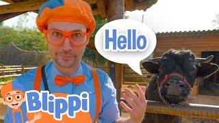 Blippi Pet Zoo! | Learn Animals | Blippi Educational Videos | Moonbug Kids