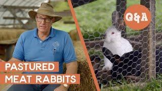 What are the Basics of Rabbit Farming? | Q&A with Joel Salatin