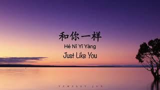 和你一样 Just Like You [李宇春 Chris Li] - Chinese, Pinyin & English Translation 歌词英文翻译