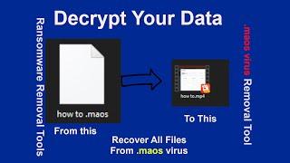 How to Remove maos virus and Recover infected Files using stopdjvu decryptor online id decryptor