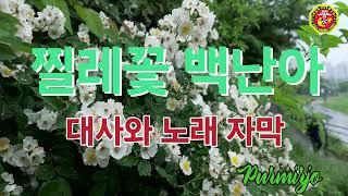 찔레꽃 백난아 대사와 가사 자막