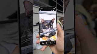 Google Pixel 9 Pro Xl Camera Test 