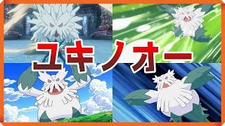 【ゆっくりポケモン解説】ダイパリメイクのためのユキノオー講座　【ブリリアントダイヤモンド　シャイニングパール】　【BDSP】　【bdsp】　【ポケモンレジェンズアルセウス】