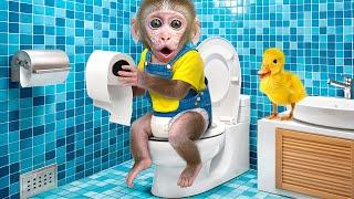 KiKi Monkey goes to the toilet with Duckling & eat Rainbow Jelly at swimming pool | KUDO ANIMAL KIKI