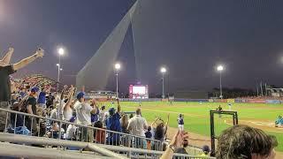 HR #20 Pete Alonso St. Lucie Mets!