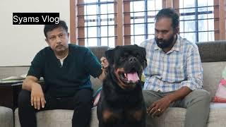 16 മാസം കൊണ്ട് രണ്ട് രാജ്യങ്ങളിലെ ചാമ്പ്യനായ Rottweiler