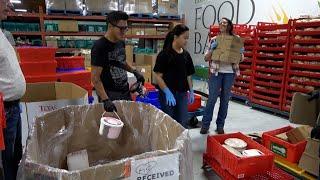 Gleaning, produce rescue helps feed communities, reduce food waste