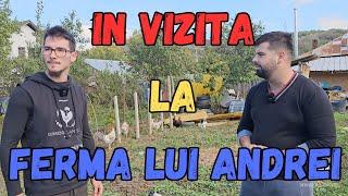 IN VIZITA LA FERMA LUI ANDREI