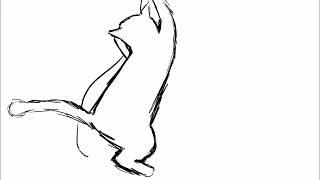 cat yarn sketch animation