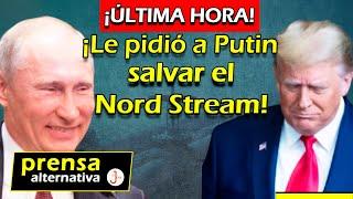 Trump quiere rescatar gasoducto ¿Rusia dará luz verde?