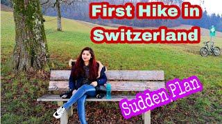 Sudden Hike in Switzerland| First Hike Experience | Sudden Hike in Local Swiss Mountain|Bengali Vlog