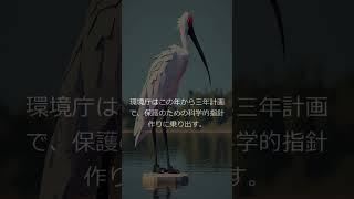 【ラジオ】森の臨界線に立つ影――オオタカと日本の生態系が見た千年紀の岐路（2000年）