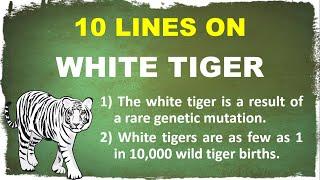 10 Lines on White Tiger in English | Few Lines on White Tiger | Bengal white Tiger