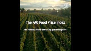 FAO Food Price Index Video Explainer