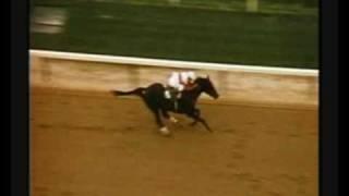 Remembering Ruffian - Preview