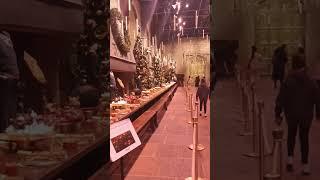 HARRY POTTER Worner Bros studio tour in London, Visit HOGWARTS ball room, enjoy Christmas in castle