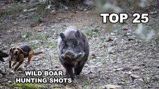 TOP 25 WILD BOAR HUNTING SHOTS