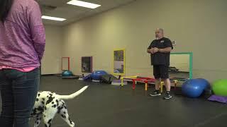 Training Show Dogs with Eric Salas Episode 5 of 5 "The Finale"