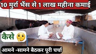 10 मुर्रा भैंस से कमाई 1 लाख रुपए प्रति महीना/Murrah Buffalo Dairy Farm in Haryana.