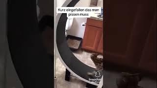 Kurz wkn gefallen das mann pissen muss