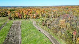 AERIAL VIEW OF THREE HORSES PLOWING A FIELD! #700