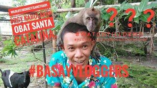 WILD LIFE(Monkey) SANCTUARY Brgy kabulakan obat santa catalina