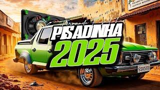 FERNANDO PISADINHA 2025 FERNANDO PISADINHA 2025 CD ATUALIZADO - REPERTÓRIO NOVO - JANEIRO 2025