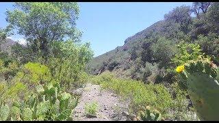 'Tucker Wildlife Sanctuary' - Modjeska Canyon, California - June 5, 2018