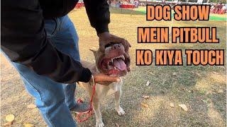 PITBULL KE MUH MEIN HAATH DAAL LIYA | PITBULL IN DOG SHOW AMBALA | PART-II