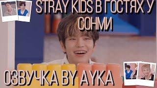 [Русская озвучка by Ayka] Stray Kids в гостях на шоу Сонми | Mobidic