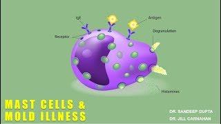 Mast Cells and Mold Illness with Dr. Jill Carnahan