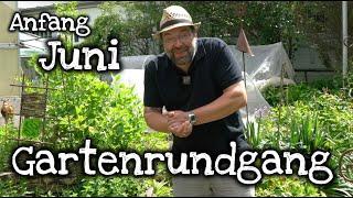 Gartenrundgang Anfang Juni