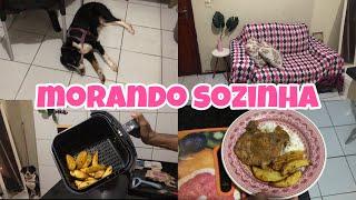 PREPARANDO MINHA JANTA + TROQUEI A MANTA DO SOFÁ  Rotina morando sozinha aos 24 