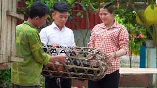 Ly Tieu Huong Daily Life | DIY Dining Table With Dad, Kind Engineer Gives 2 Rare Black Chickens