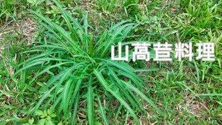 這種苦苦的野菜一吃就上癮，你也來嘗嘗 Indian Lettuce or Wild Lettuce